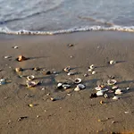 Bright 150mt From The Sea Διαμέρισμα *