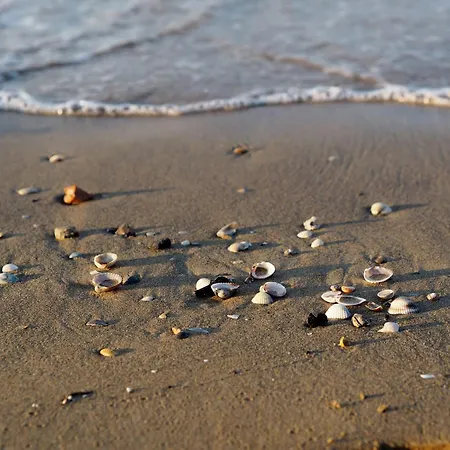 Bright 150mt From The Sea Apartment *