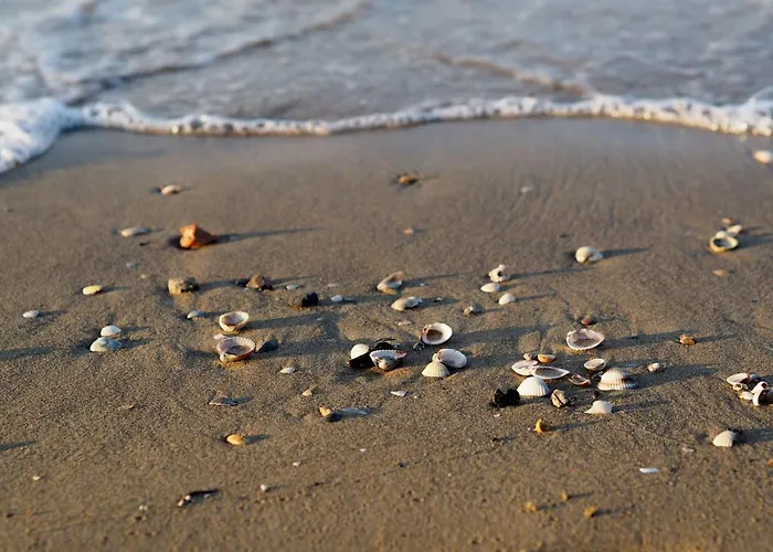 Bright 150mt From The Sea Apartment *